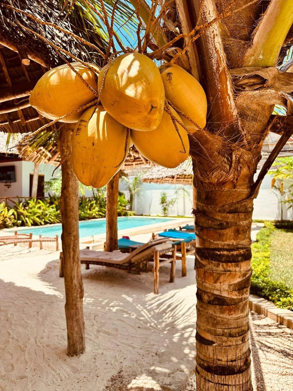 Lala Salama Kendwa Villas Esterno foto